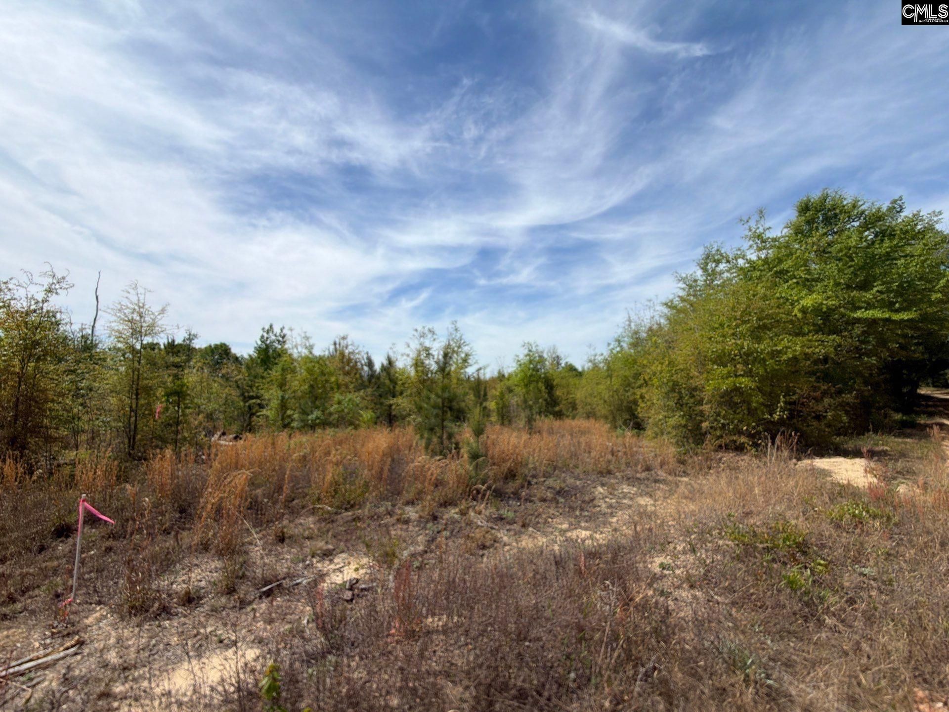 Rrf 7 Rogers Cemetery Road  Photo 6