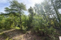 Rrf 7 Rogers Cemetery Road  photo 4