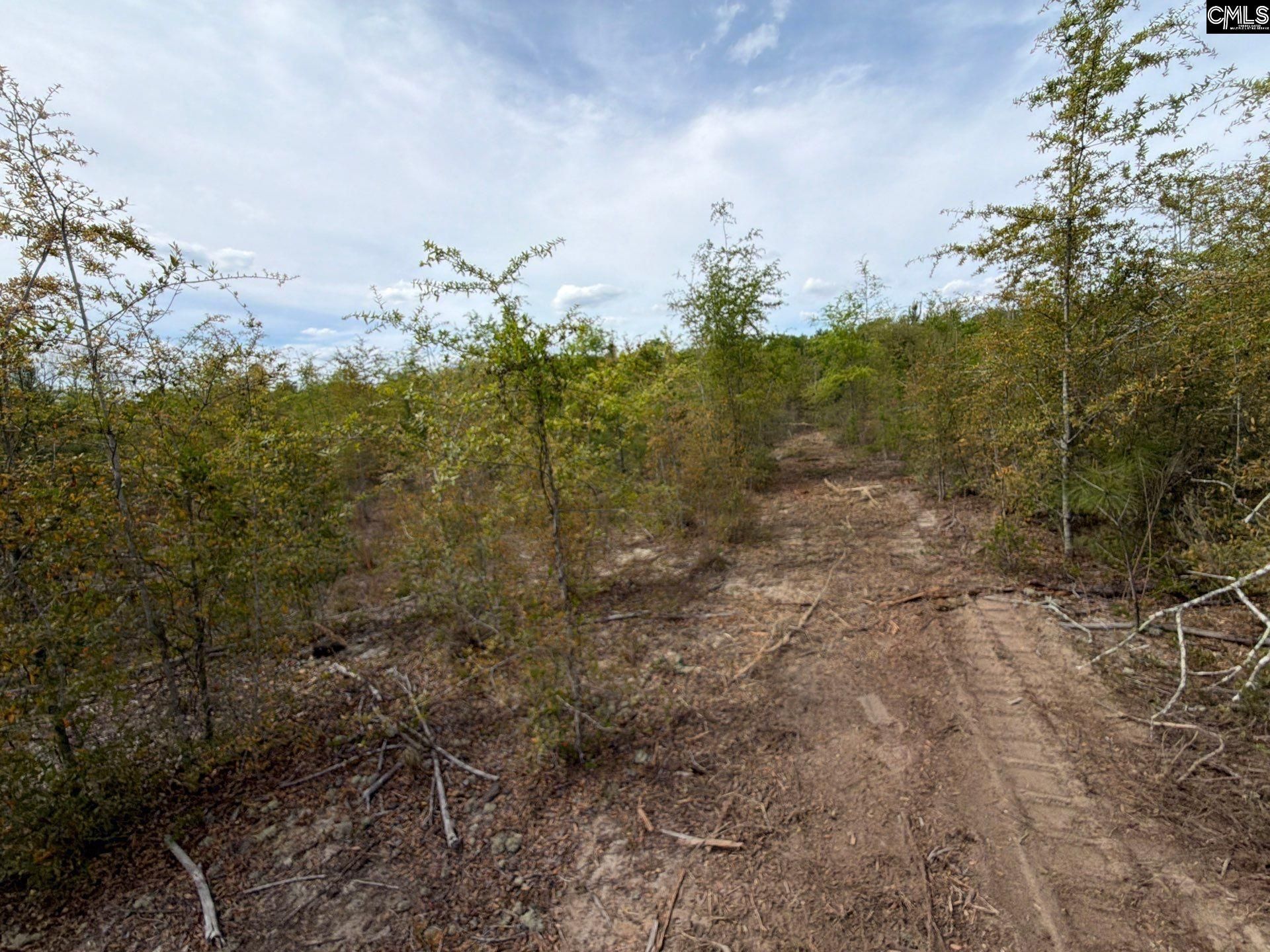 Rrf 7 Rogers Cemetery Road  Photo 13