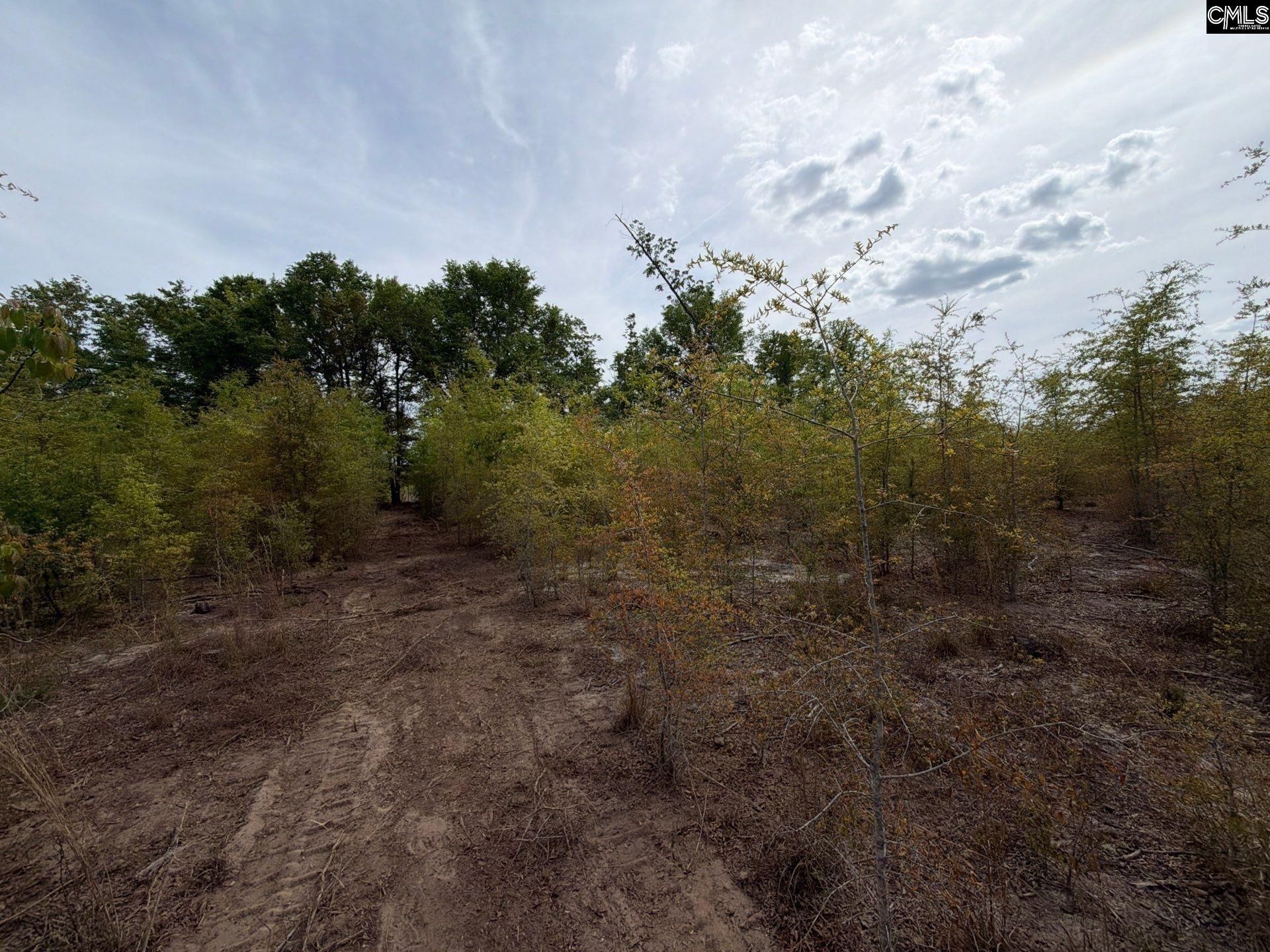 Rrf 7 Rogers Cemetery Road  Photo 14