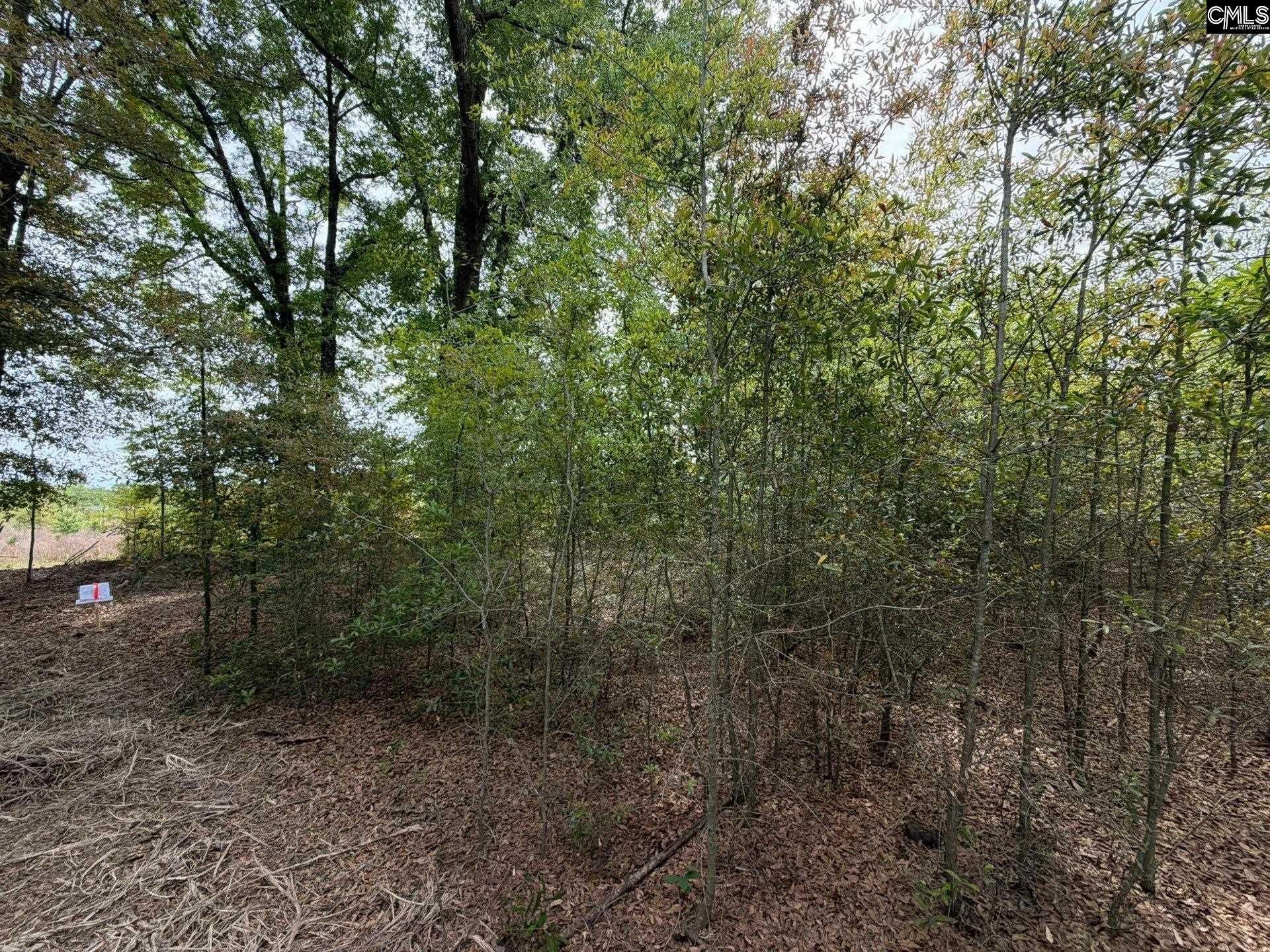 Rrf 7 Rogers Cemetery Road  Photo 7