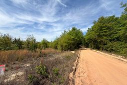 Rrf 7 Rogers Cemetery Road  photo 4