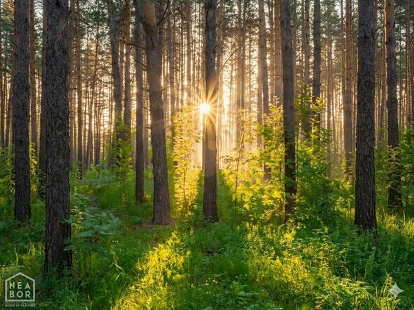 11 Greene 628 Road, Paragould, AR 72450