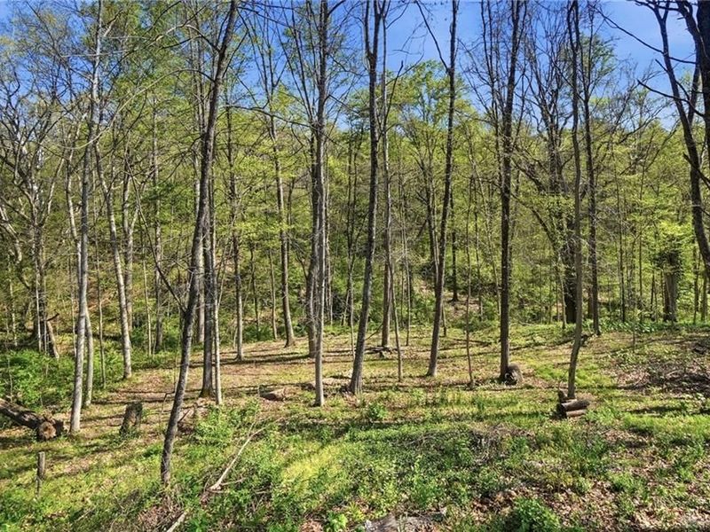 1786 Richland Road, Xenia, OH 45385 Photo 72