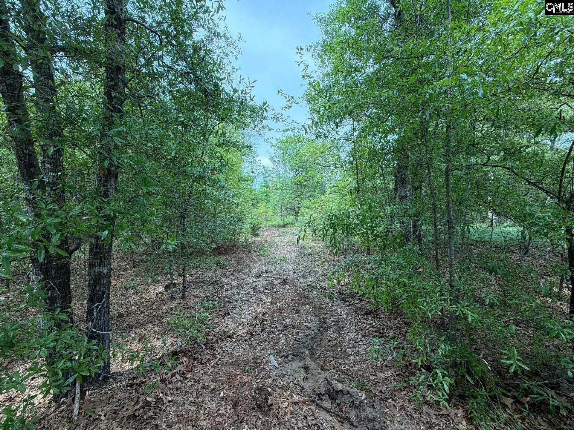 Rrf 1 Rogers Cemetery Road  Photo 4