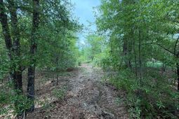 Rrf 1 Rogers Cemetery Road  photo 4