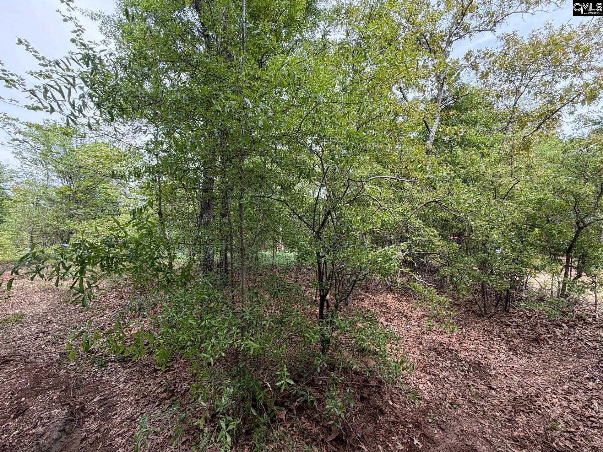 Rrf 1 Rogers Cemetery Road  Photo 5