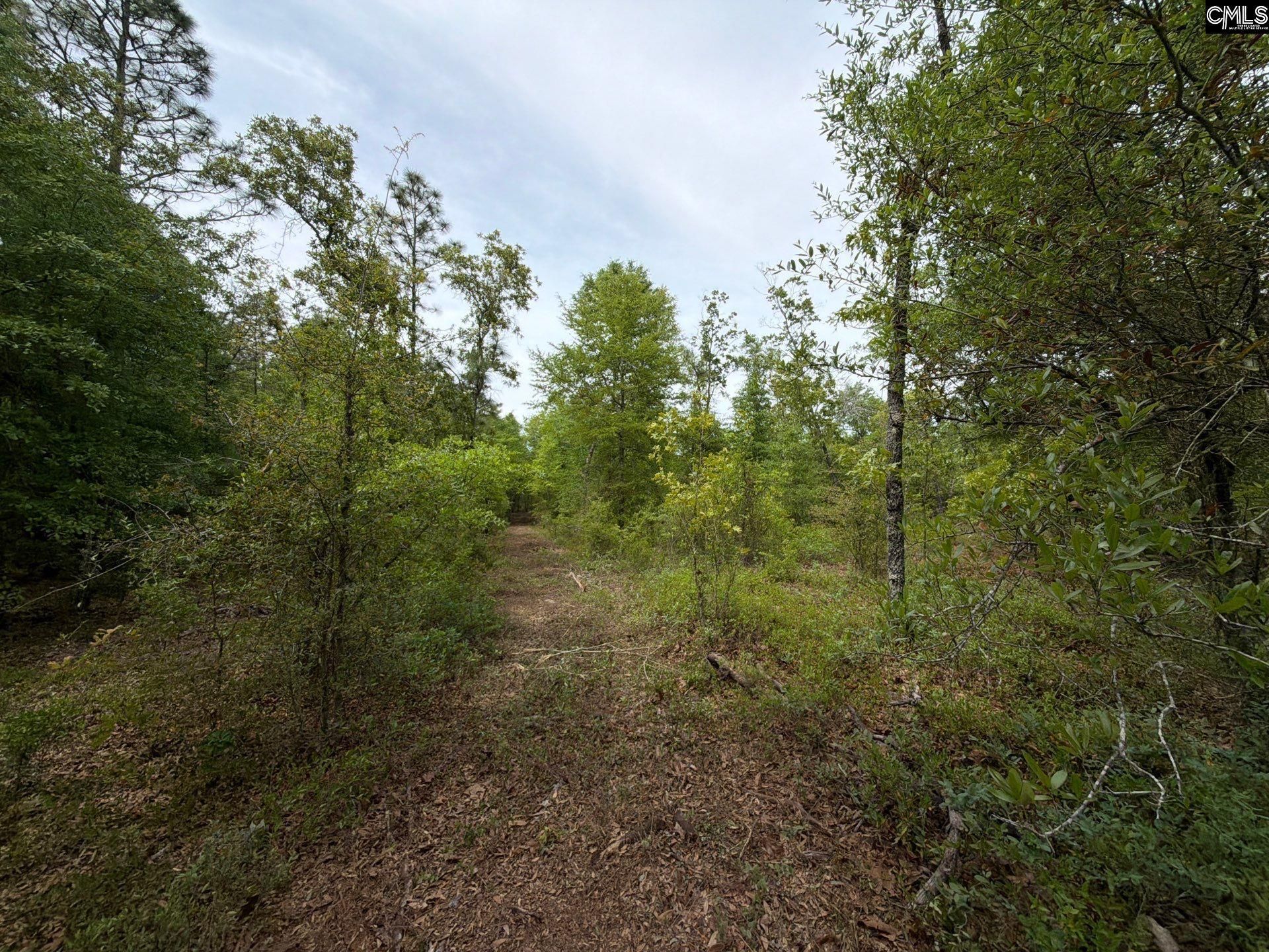 Rrf 1 Rogers Cemetery Road  Photo 6