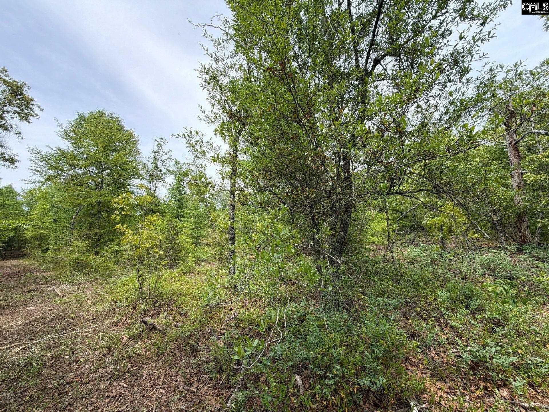 Rrf 1 Rogers Cemetery Road  Photo 7