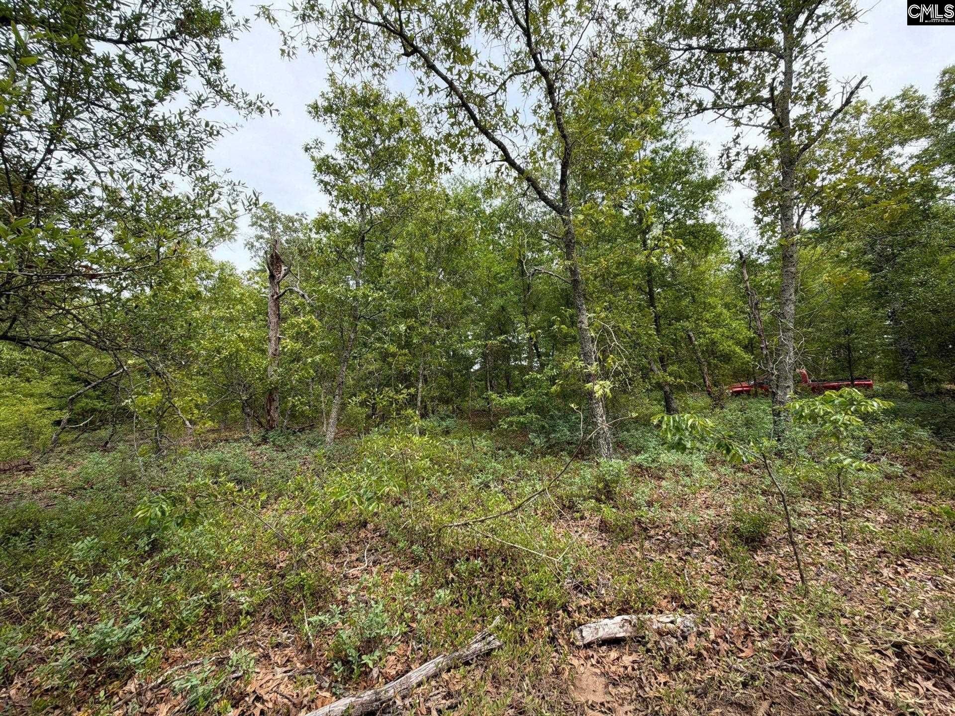 Rrf 1 Rogers Cemetery Road  Photo 8