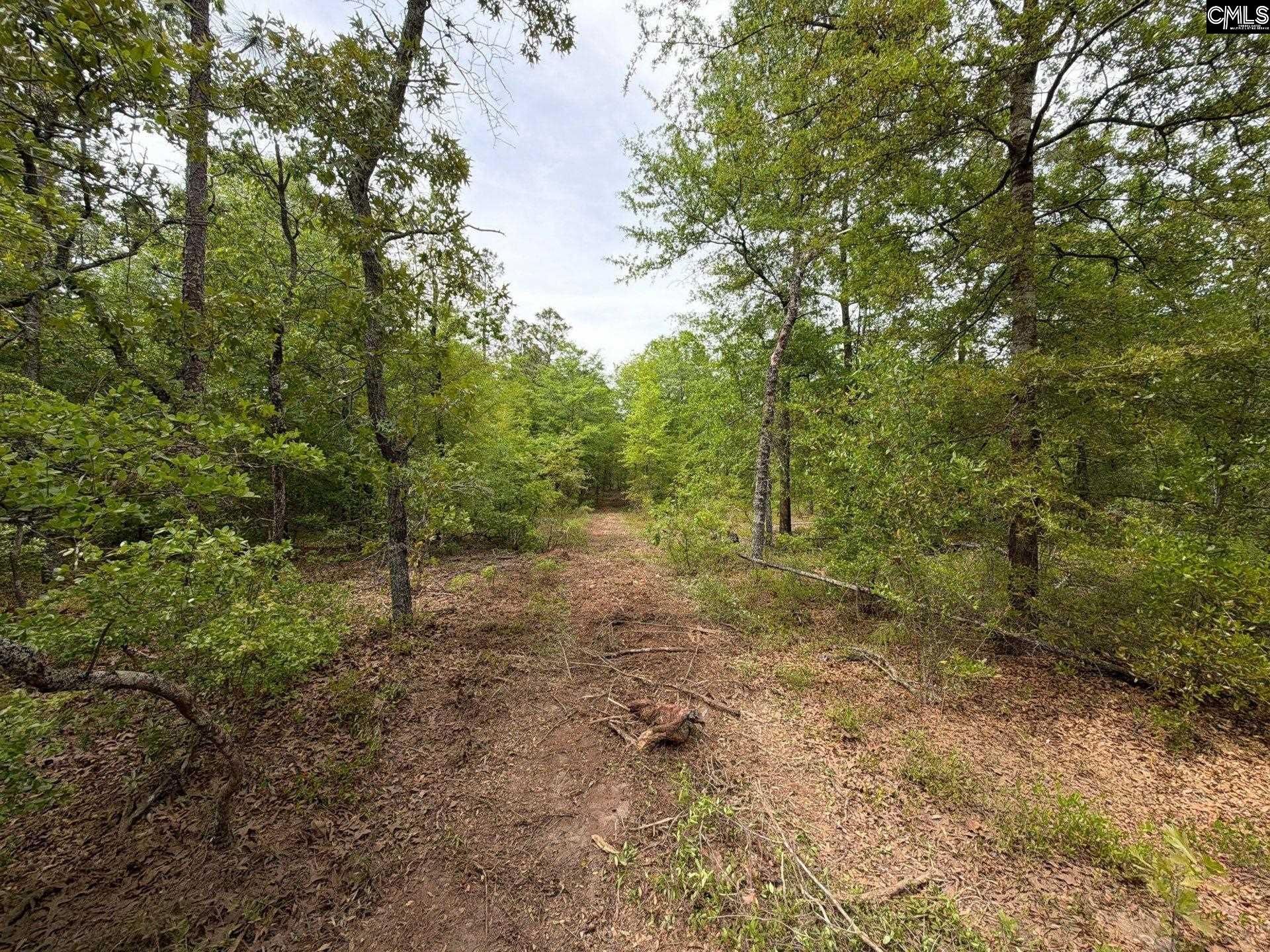 Rrf 1 Rogers Cemetery Road  Photo 9