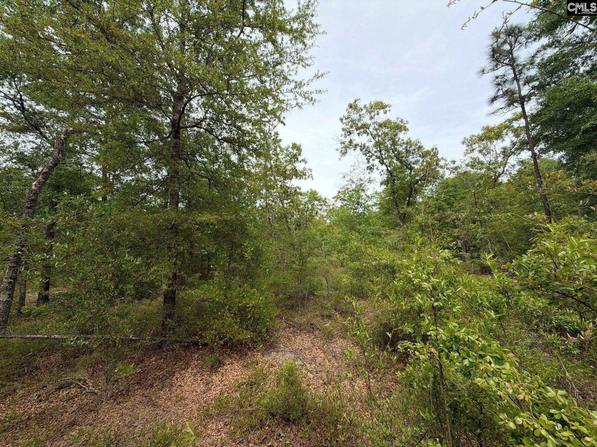 Rrf 1 Rogers Cemetery Road  Photo 10