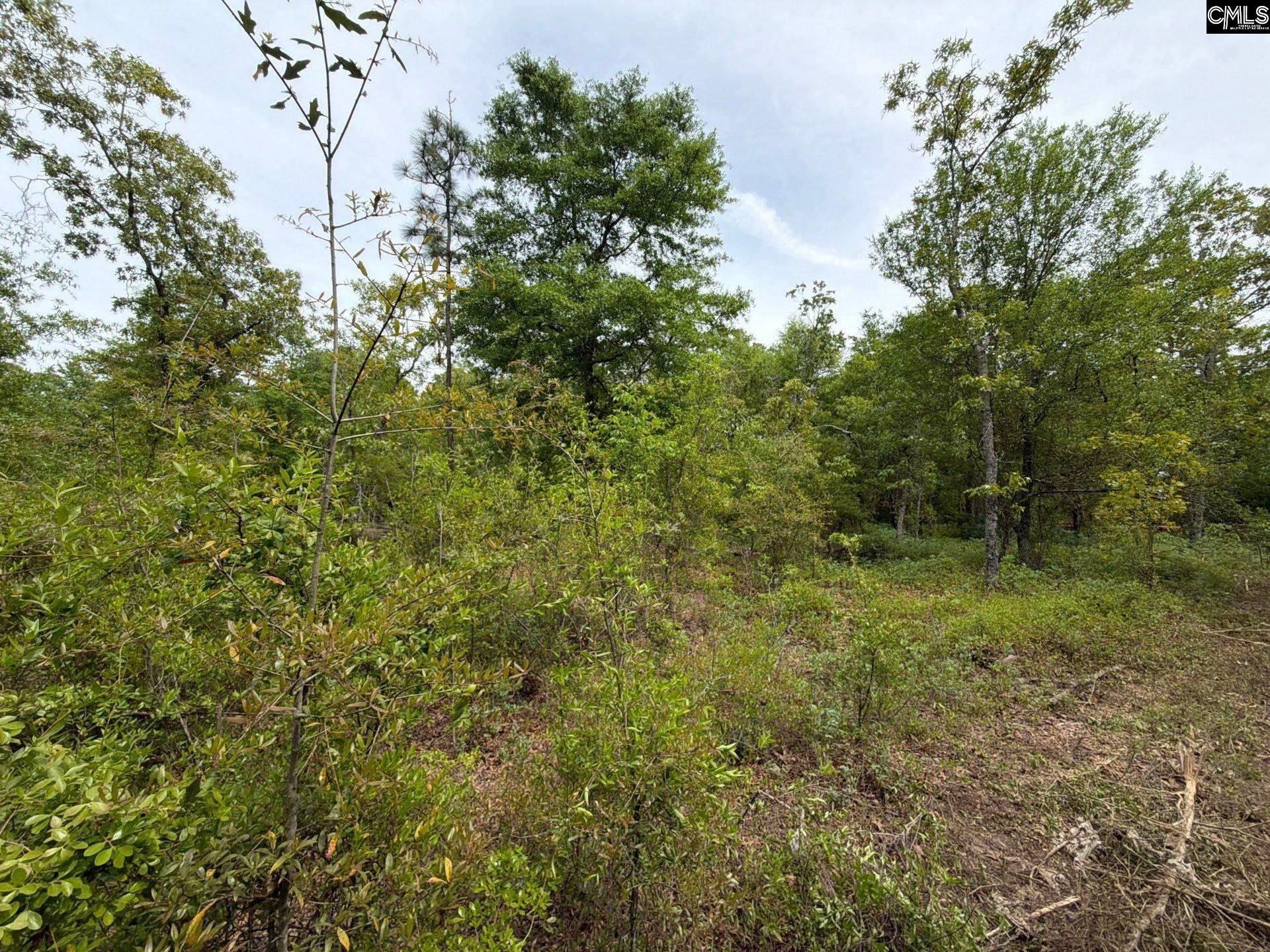 Rrf 1 Rogers Cemetery Road  Photo 11