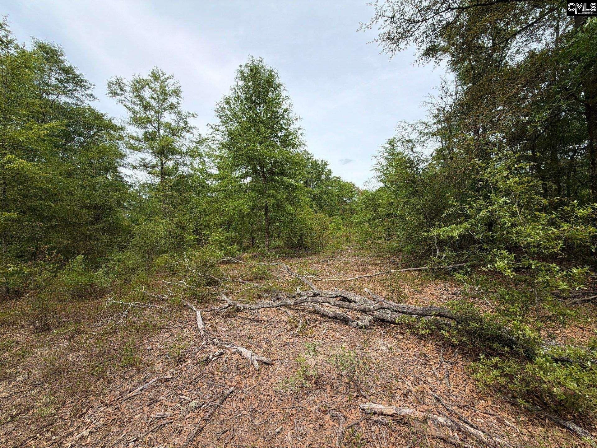 Rrf 1 Rogers Cemetery Road  Photo 12