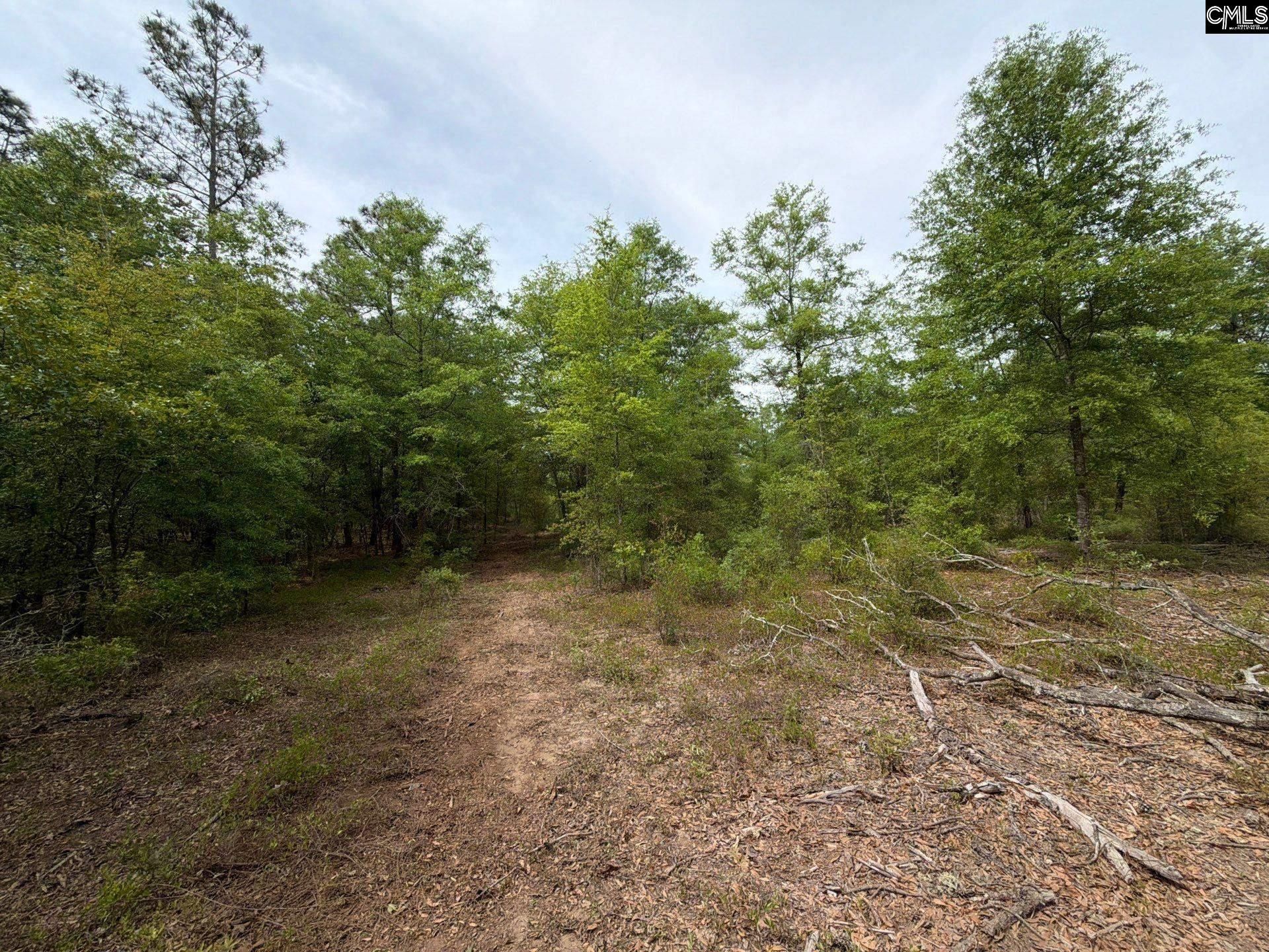 Rrf 1 Rogers Cemetery Road  Photo 13