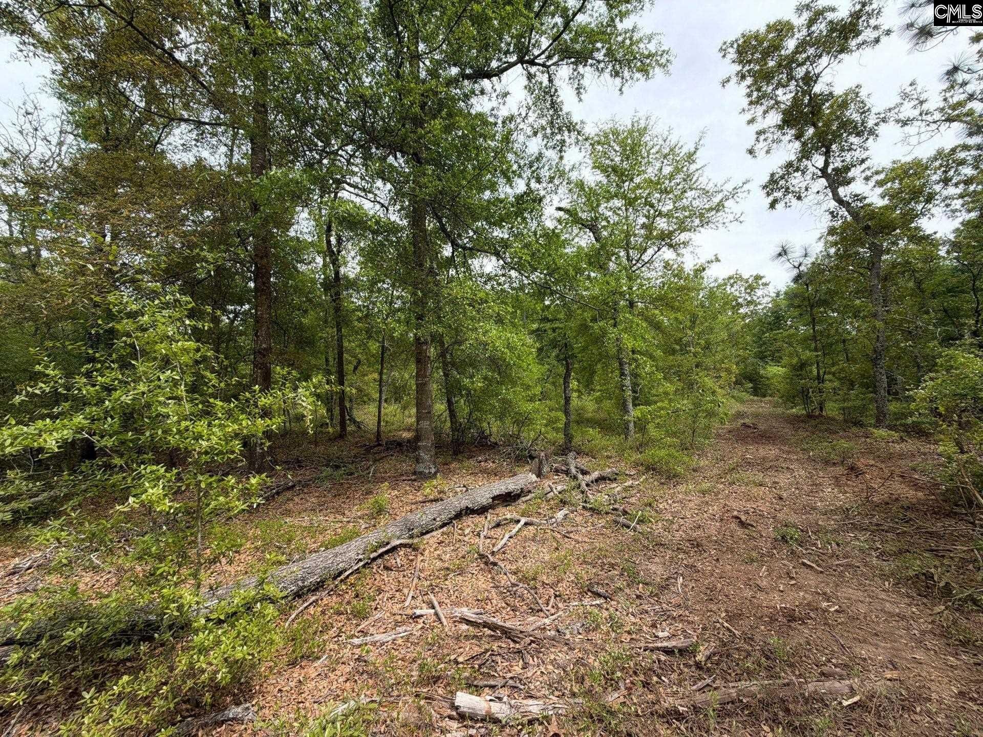 Rrf 1 Rogers Cemetery Road  Photo 14