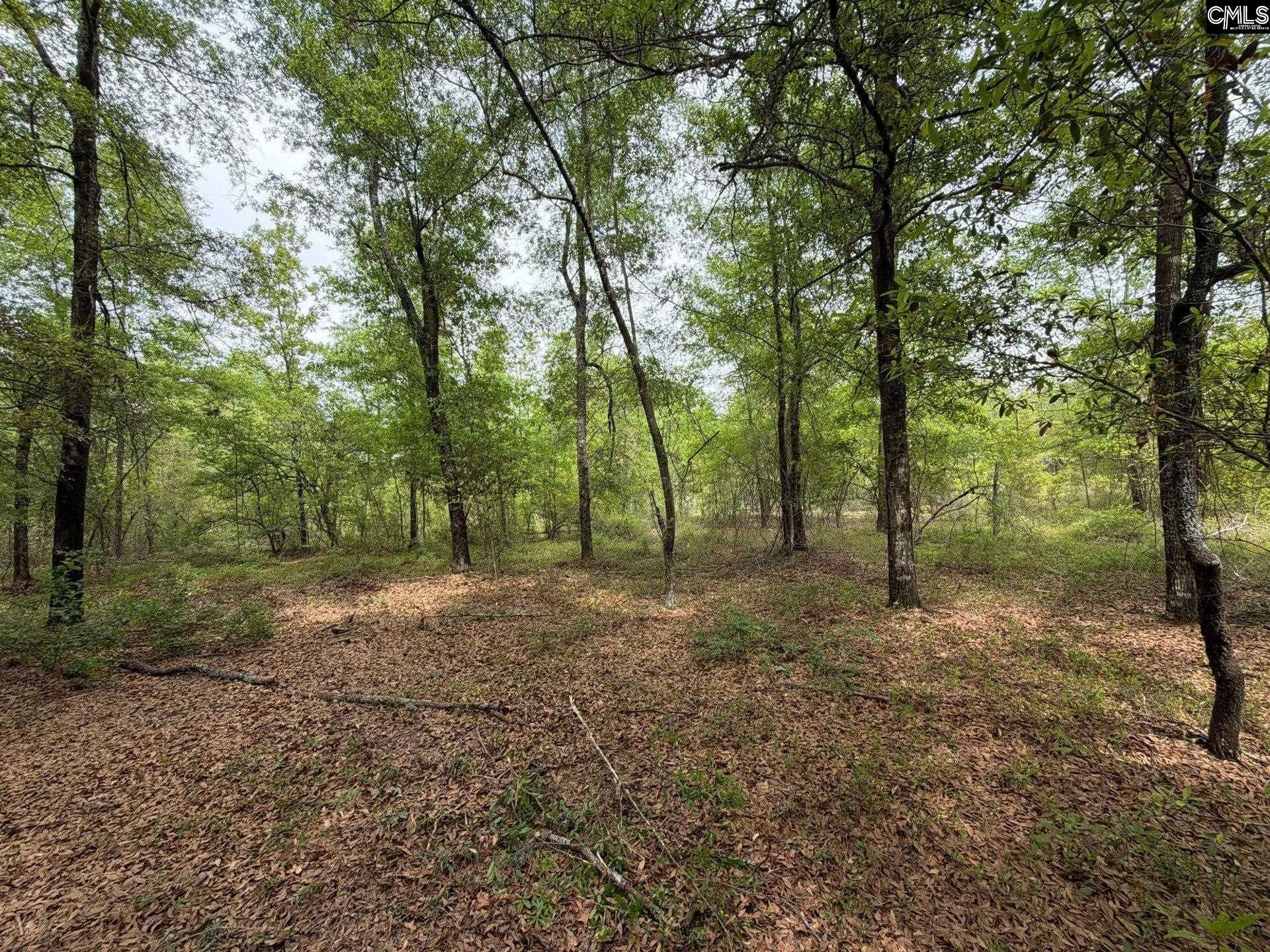 Rrf 1 Rogers Cemetery Road  Photo 15