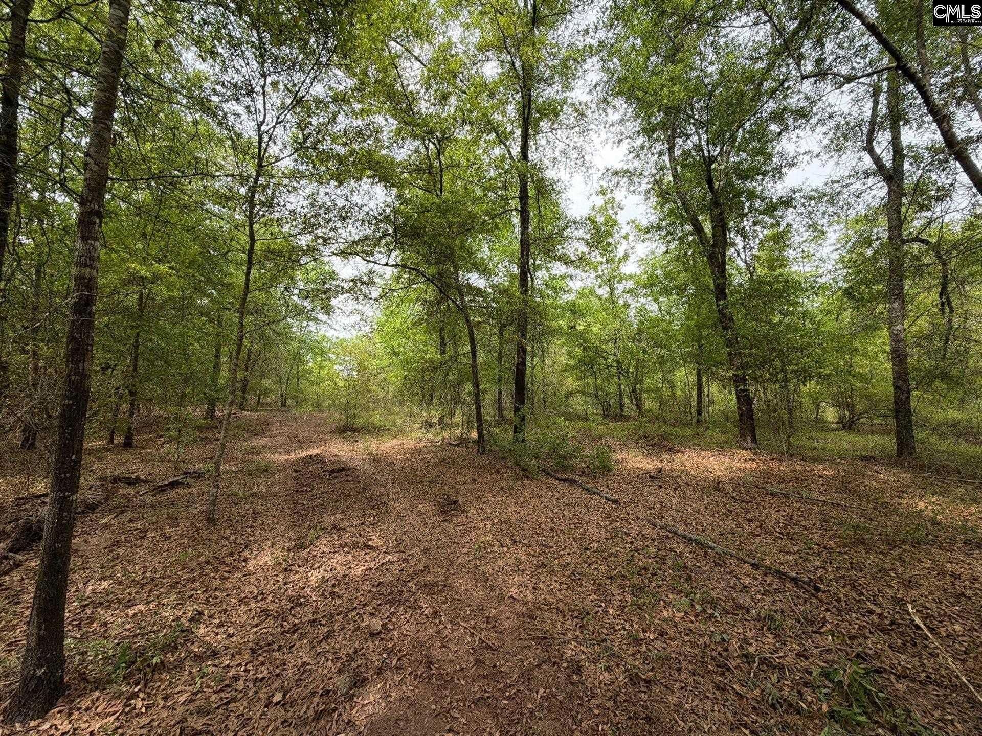 Rrf 1 Rogers Cemetery Road  Photo 16