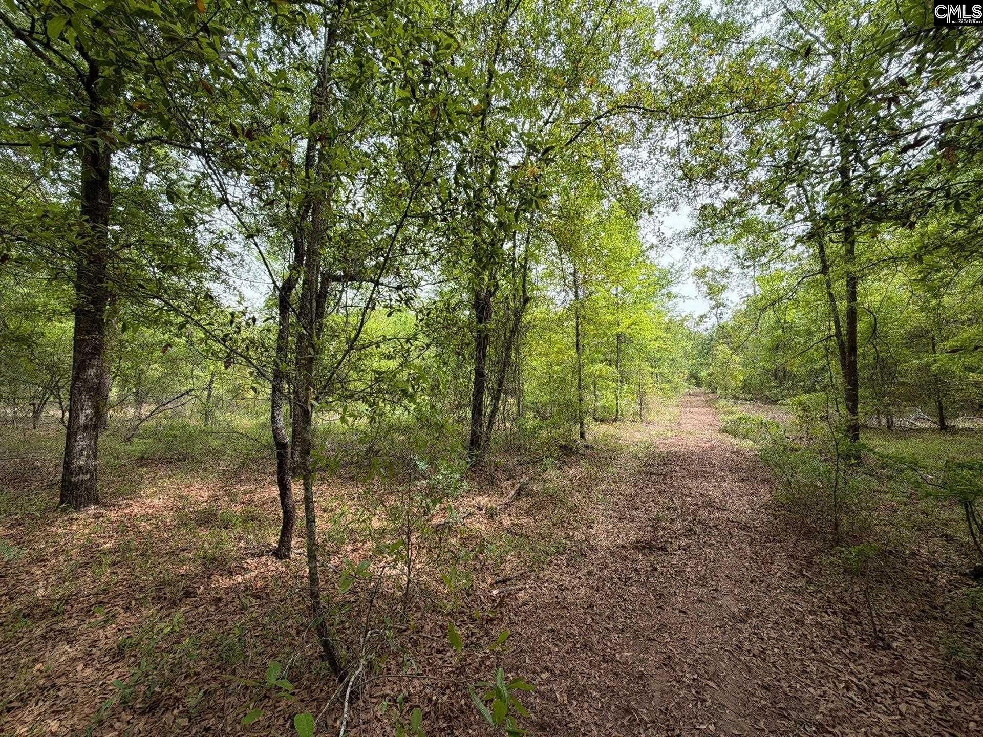 Rrf 1 Rogers Cemetery Road  Photo 17