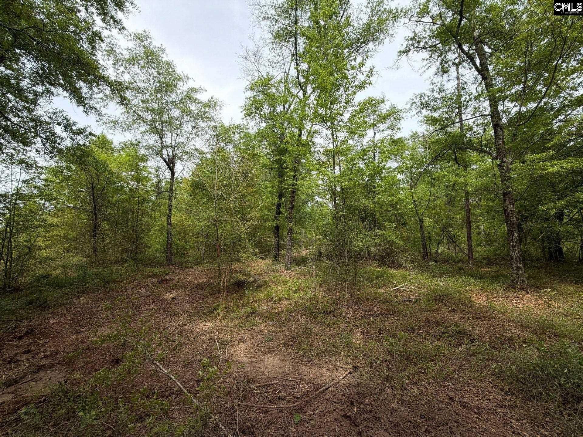 Rrf 1 Rogers Cemetery Road  Photo 18