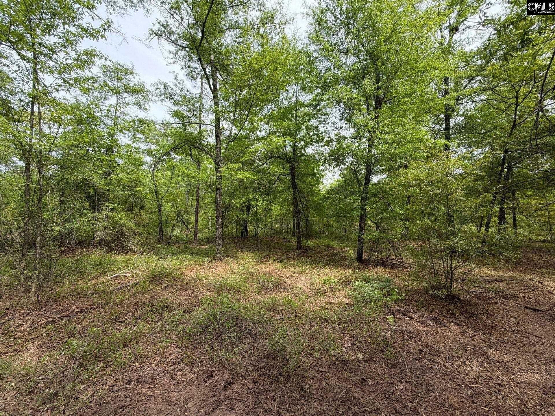 Rrf 1 Rogers Cemetery Road  Photo 19