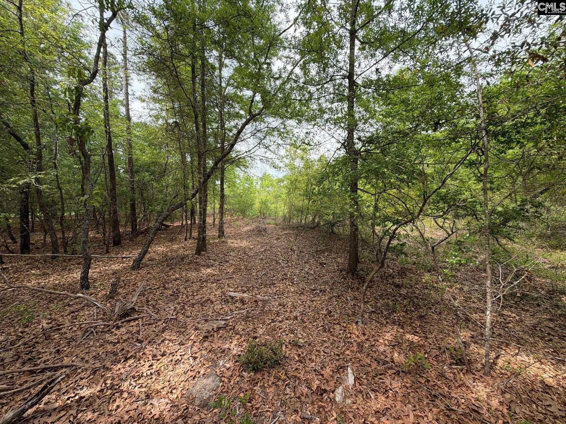 Rrf 1 Rogers Cemetery Road  Photo 20