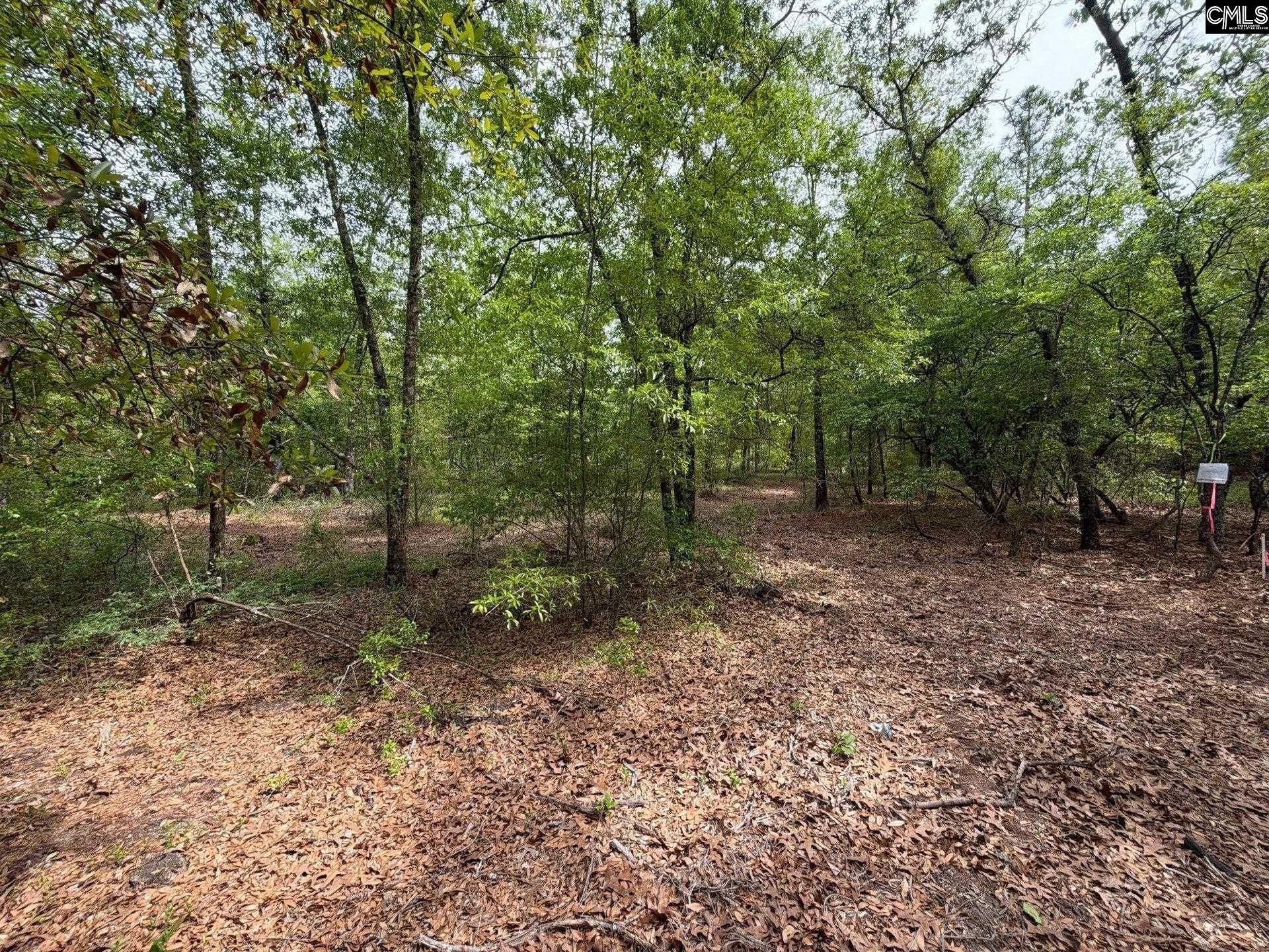 Rrf 1 Rogers Cemetery Road  Photo 21