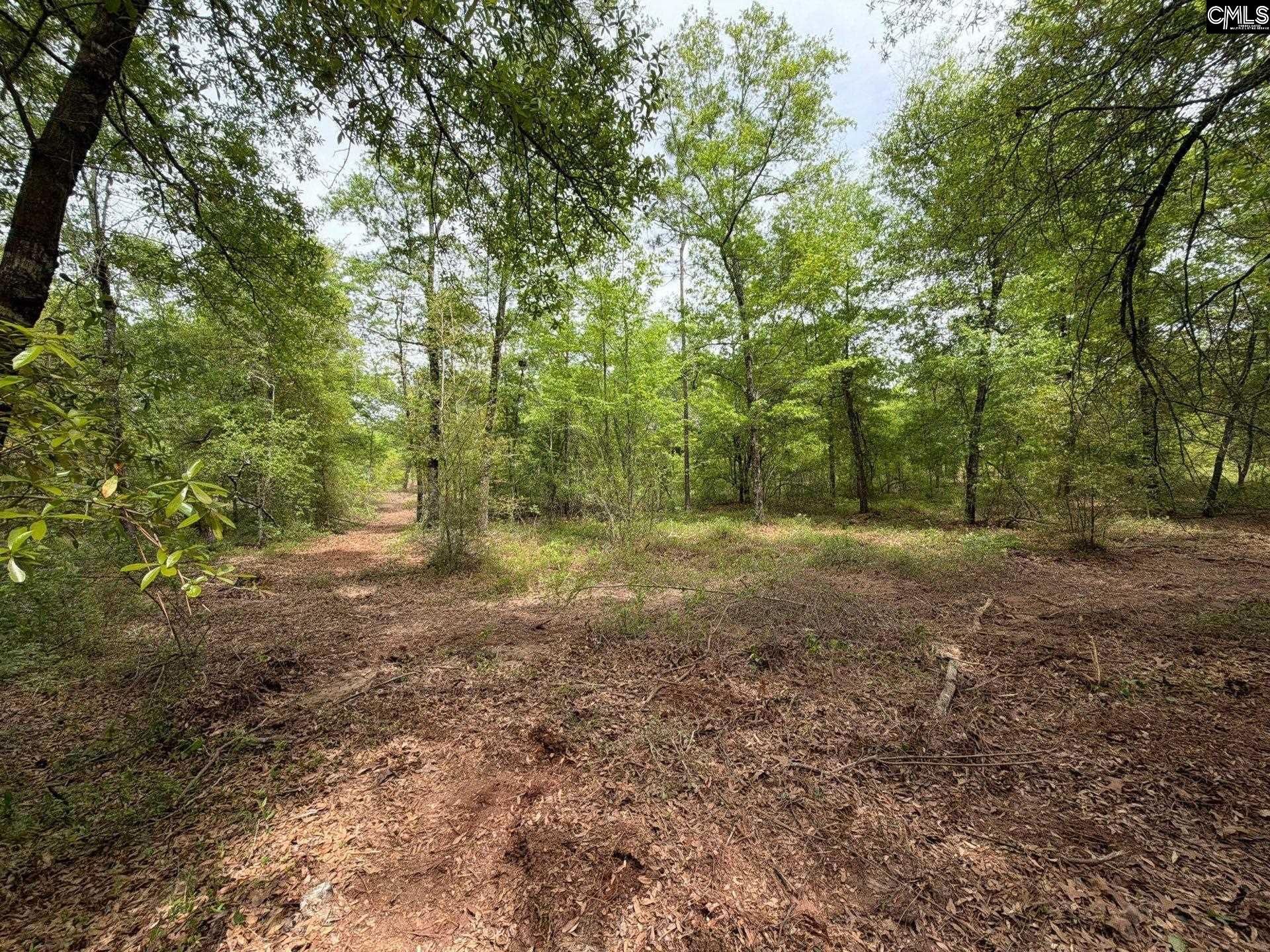 Rrf 1 Rogers Cemetery Road  Photo 22