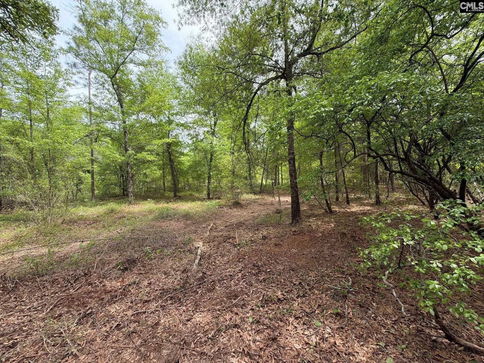 Rrf 1 Rogers Cemetery Road  Photo 23