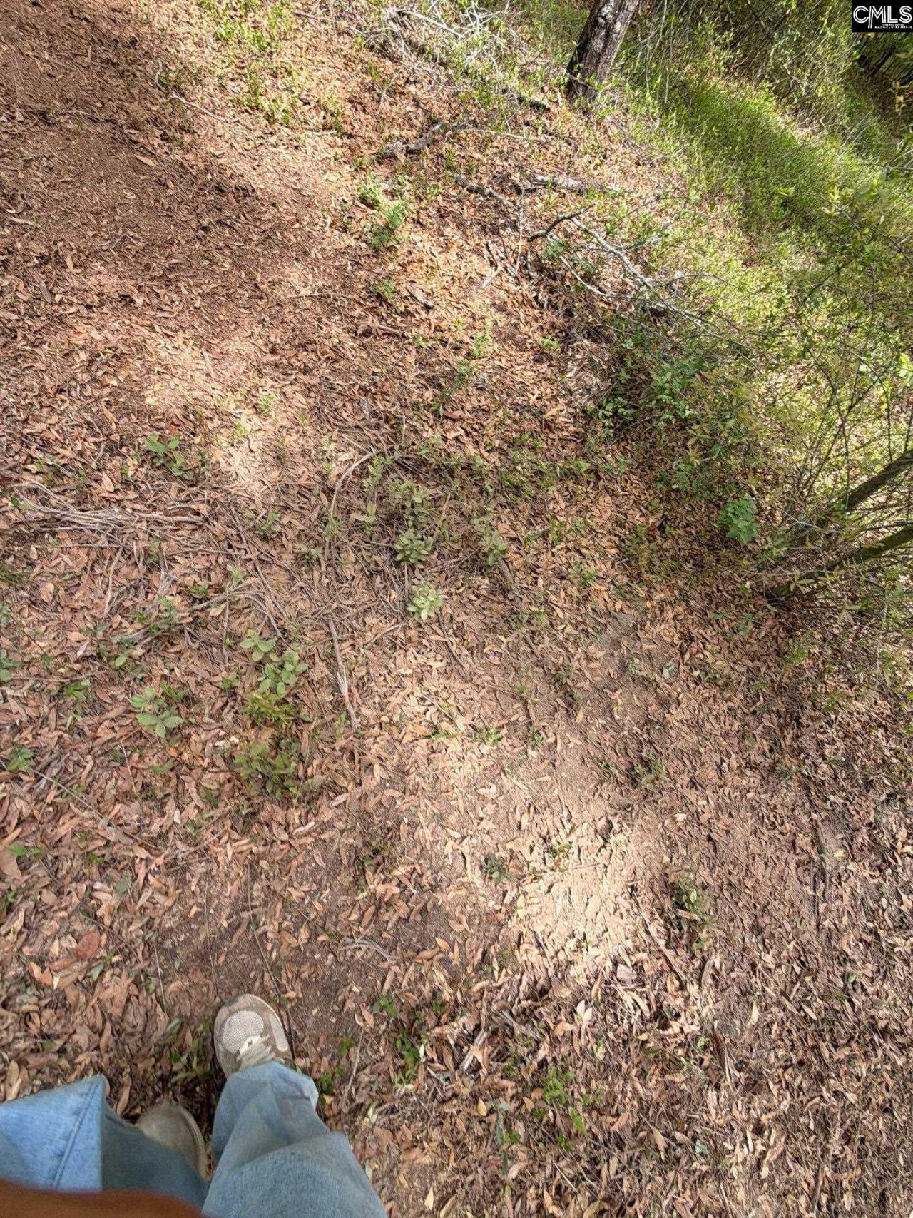 Rrf 1 Rogers Cemetery Road  Photo 24