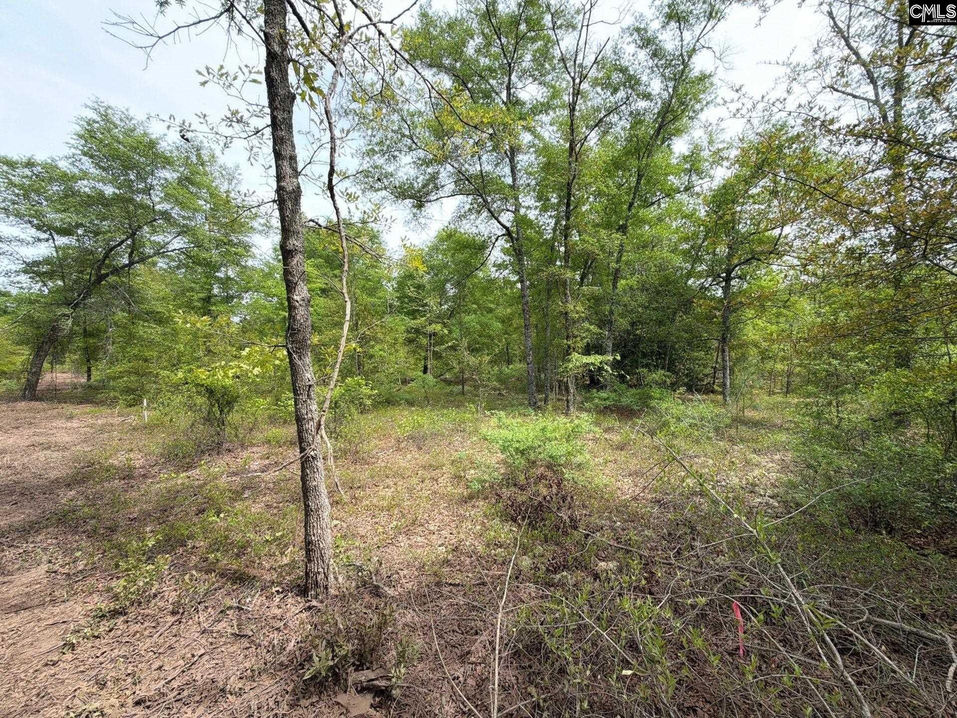 Rrf 1 Rogers Cemetery Road  Photo 25