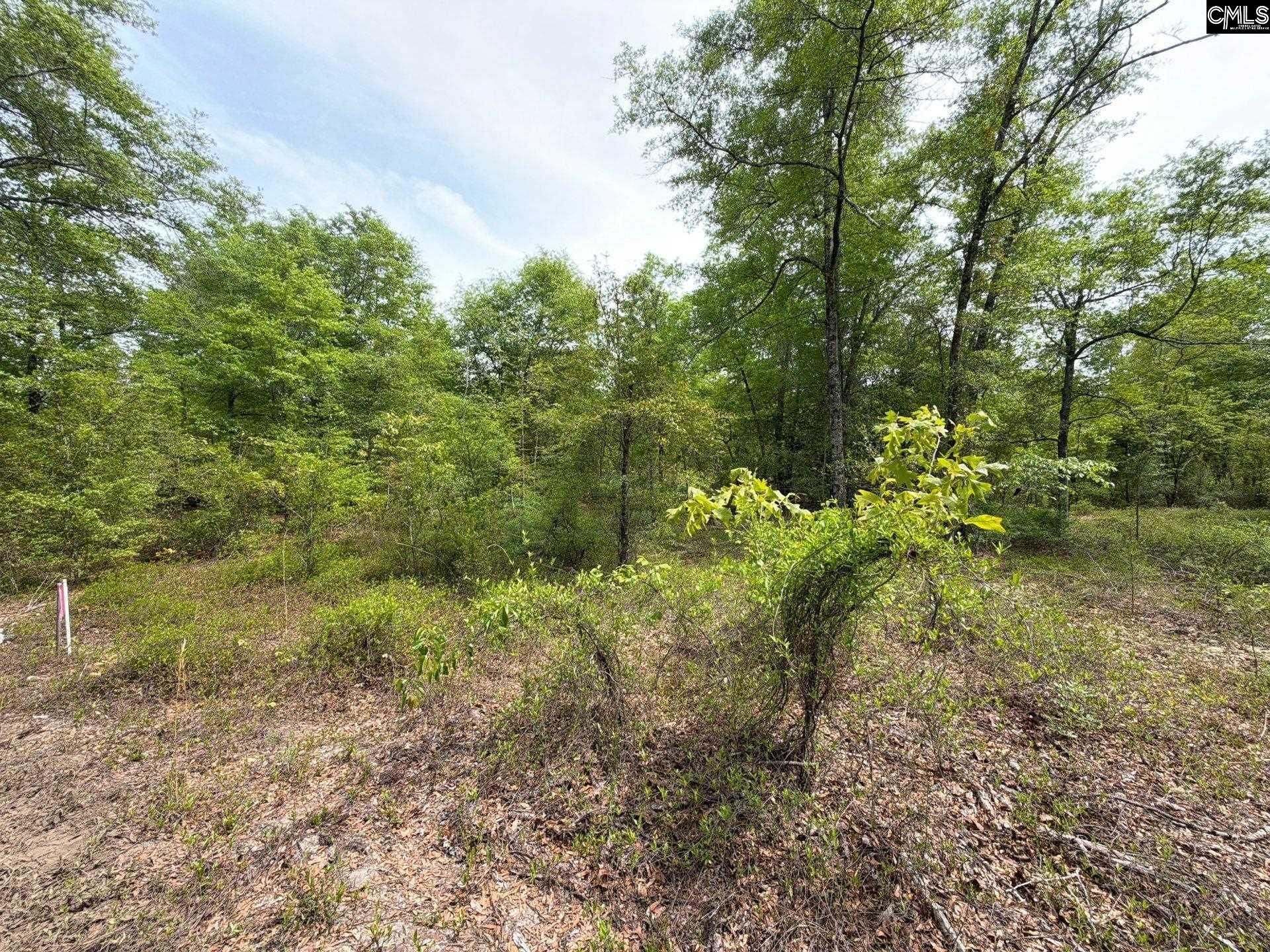 Rrf 1 Rogers Cemetery Road  Photo 26