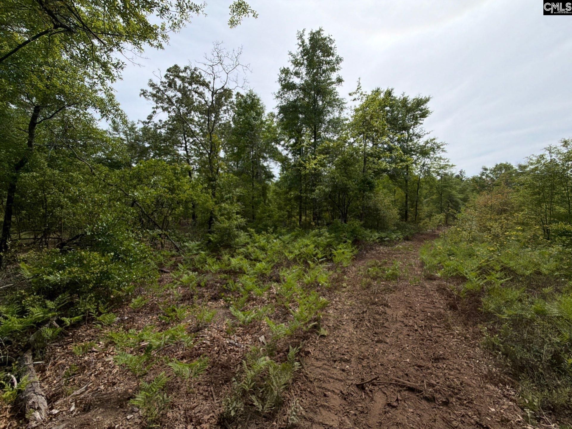 Rrf 1 Rogers Cemetery Road  Photo 27