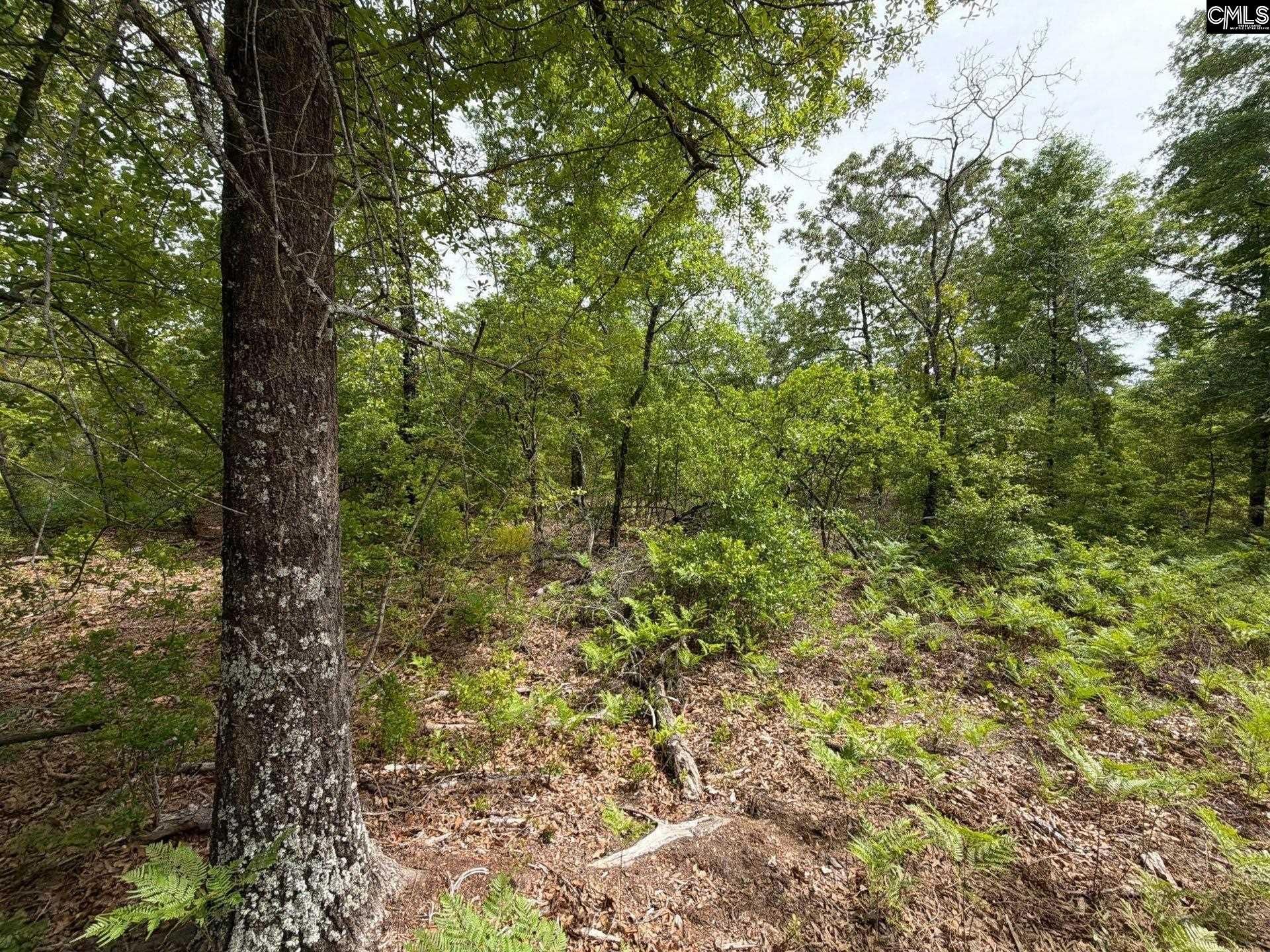 Rrf 1 Rogers Cemetery Road  Photo 28