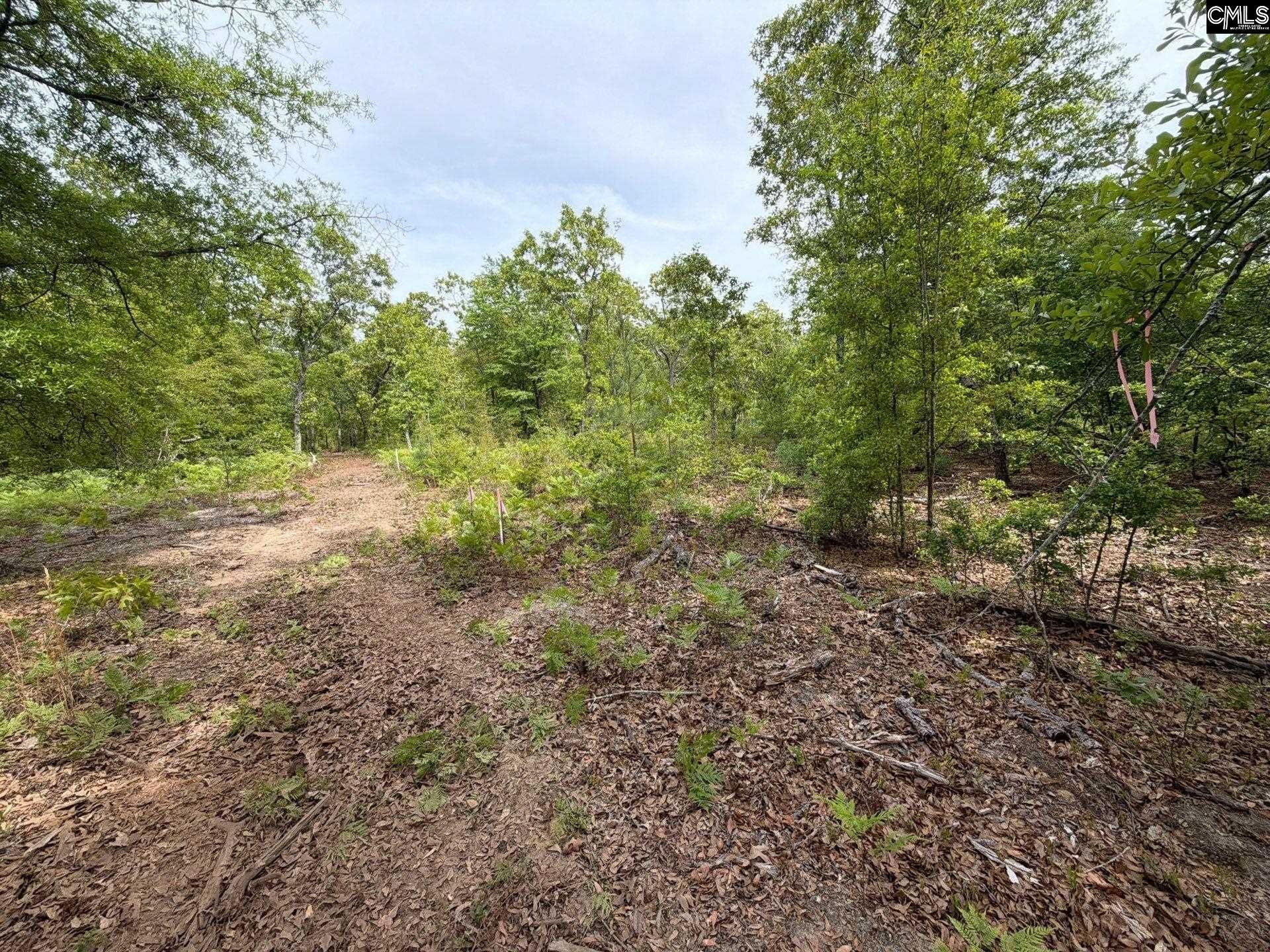 Rrf 1 Rogers Cemetery Road  Photo 29