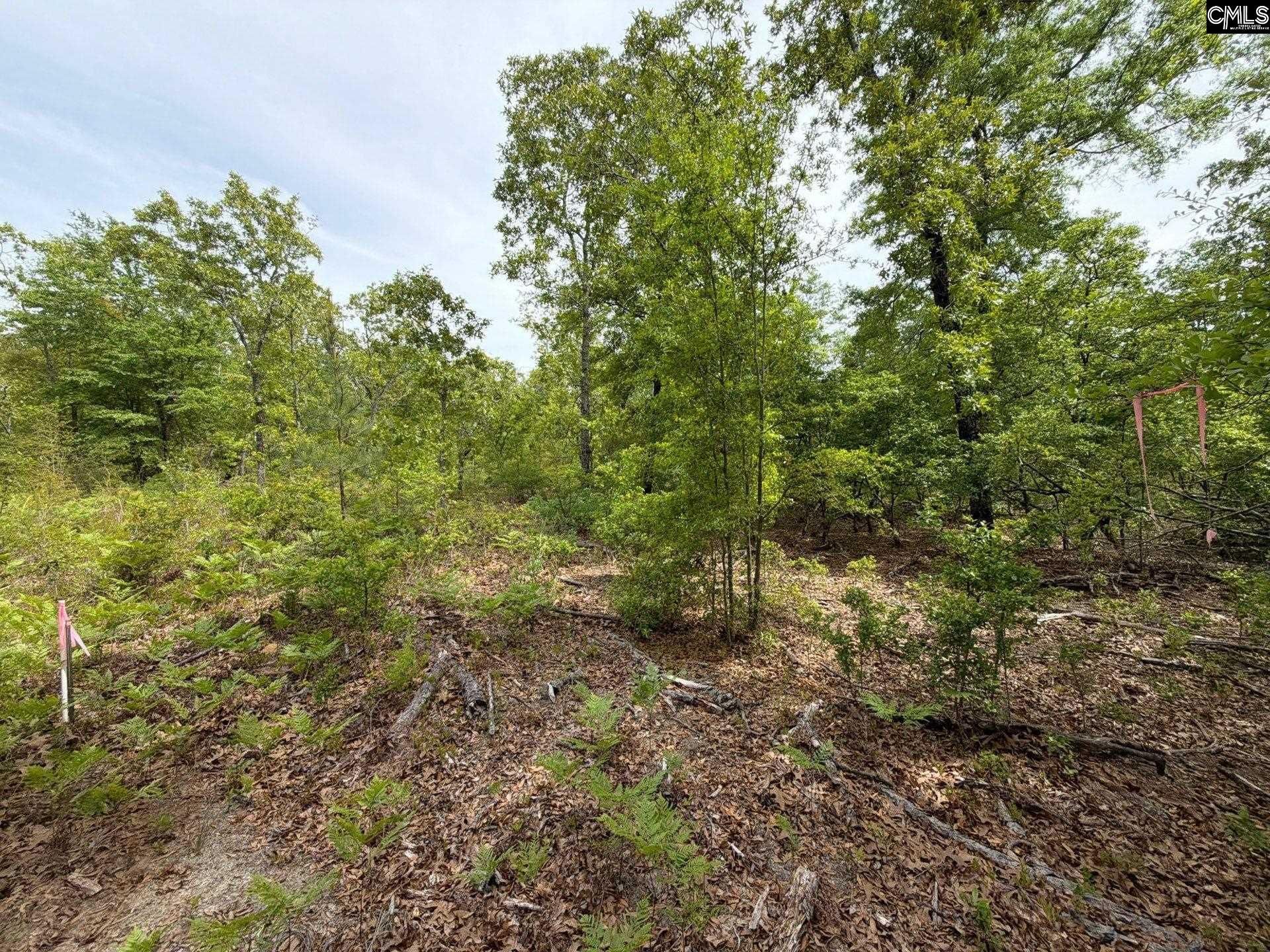 Rrf 1 Rogers Cemetery Road  Photo 30