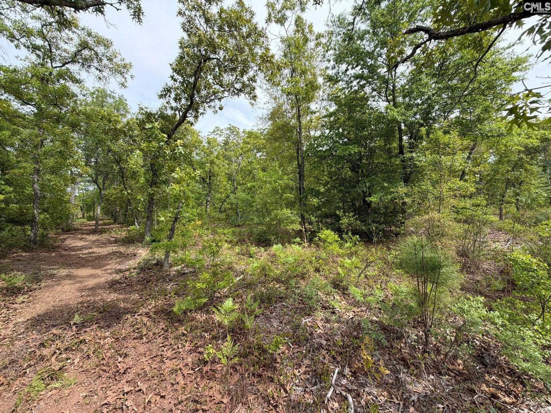 Rrf 1 Rogers Cemetery Road  Photo 31