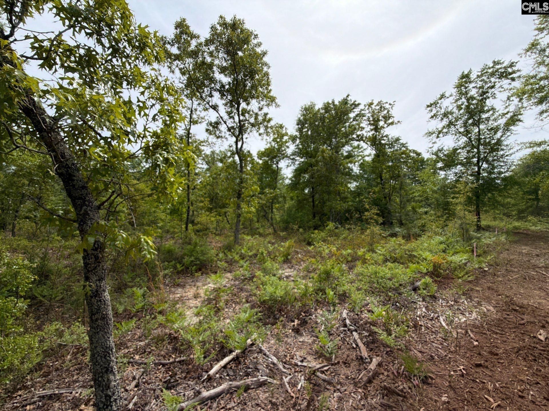 Rrf 1 Rogers Cemetery Road  Photo 32