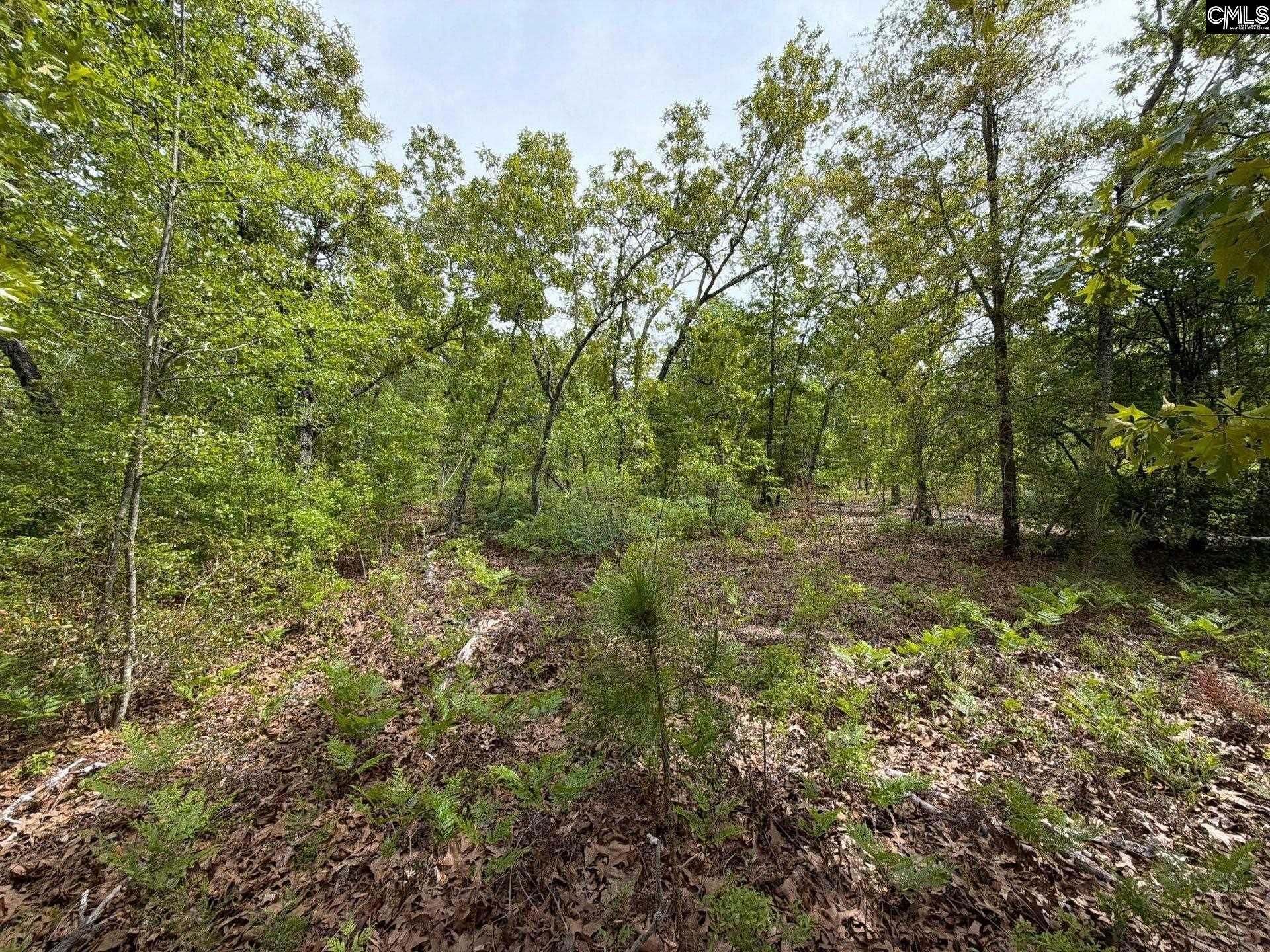 Rrf 1 Rogers Cemetery Road  Photo 33