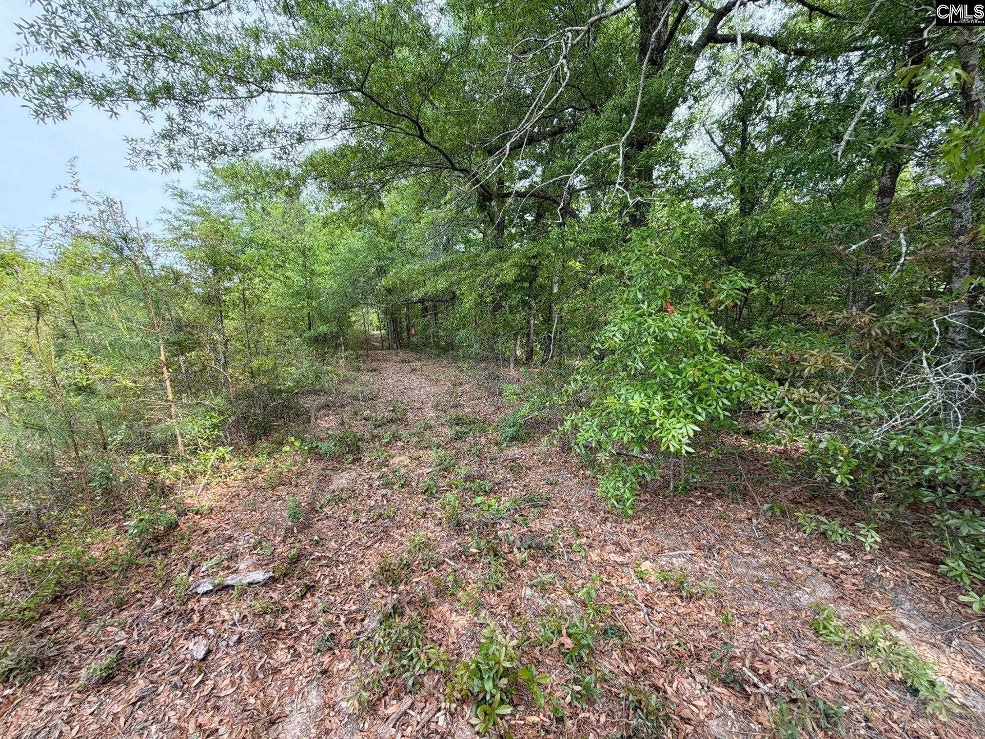 Rrf 1 Rogers Cemetery Road  Photo 34