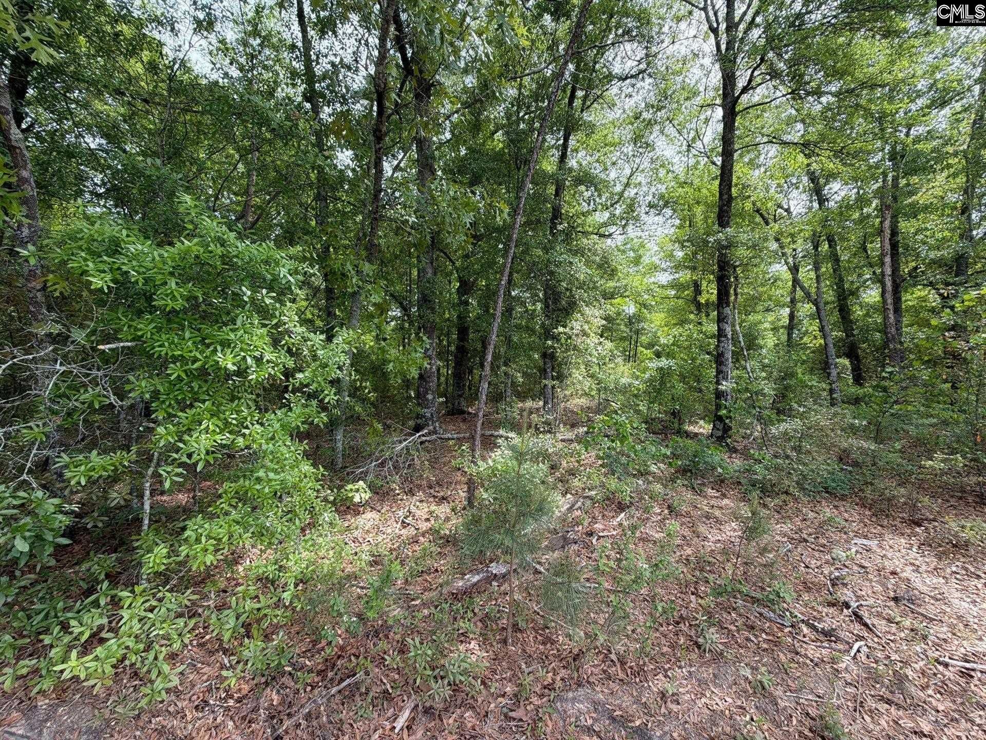 Rrf 1 Rogers Cemetery Road  Photo 35