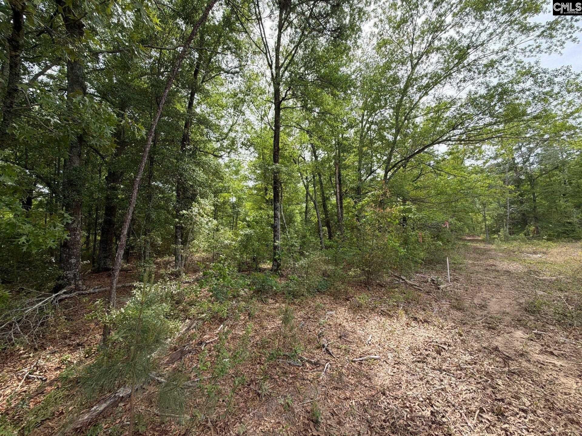 Rrf 1 Rogers Cemetery Road  Photo 36