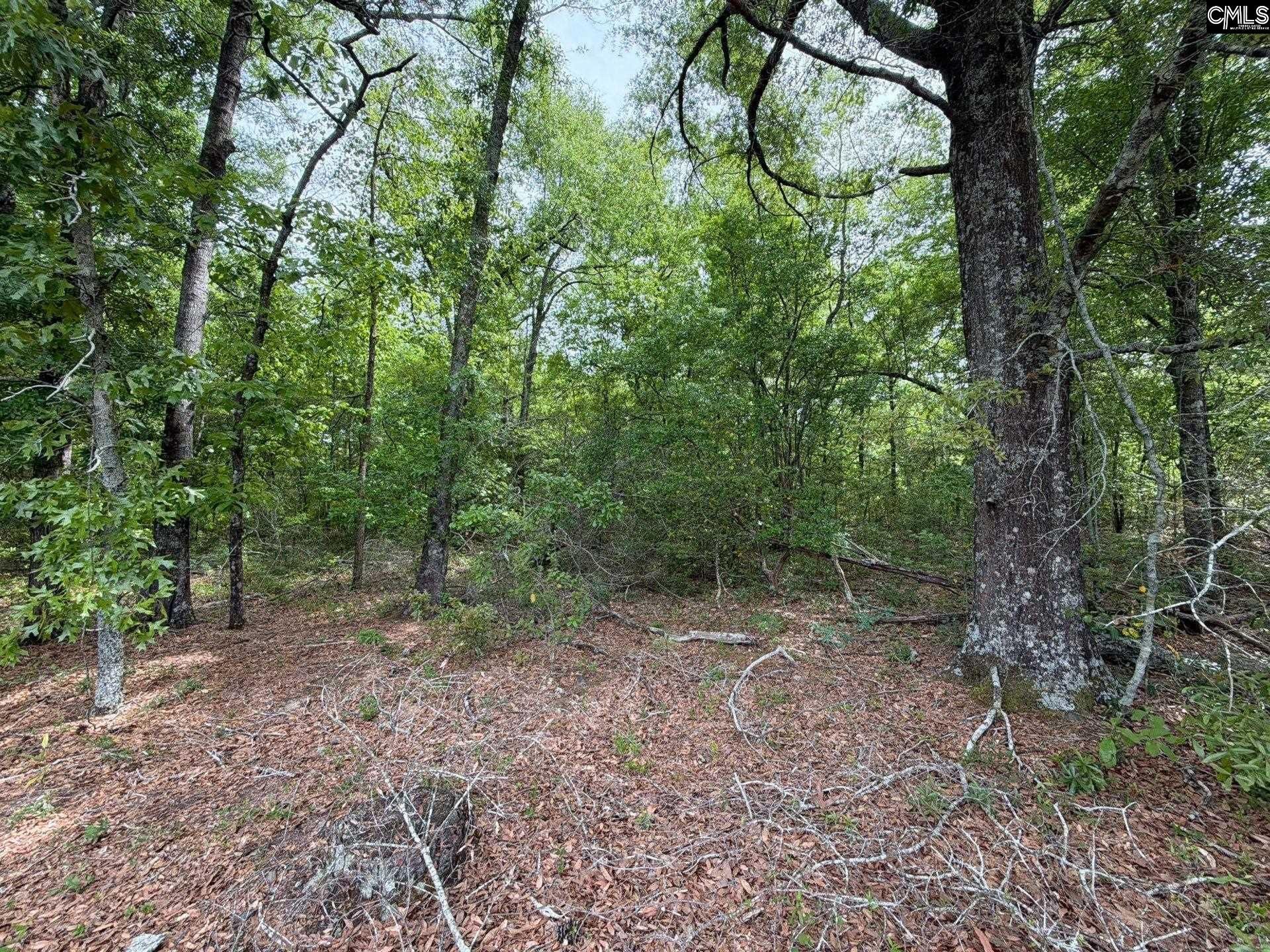 Rrf 1 Rogers Cemetery Road  Photo 37