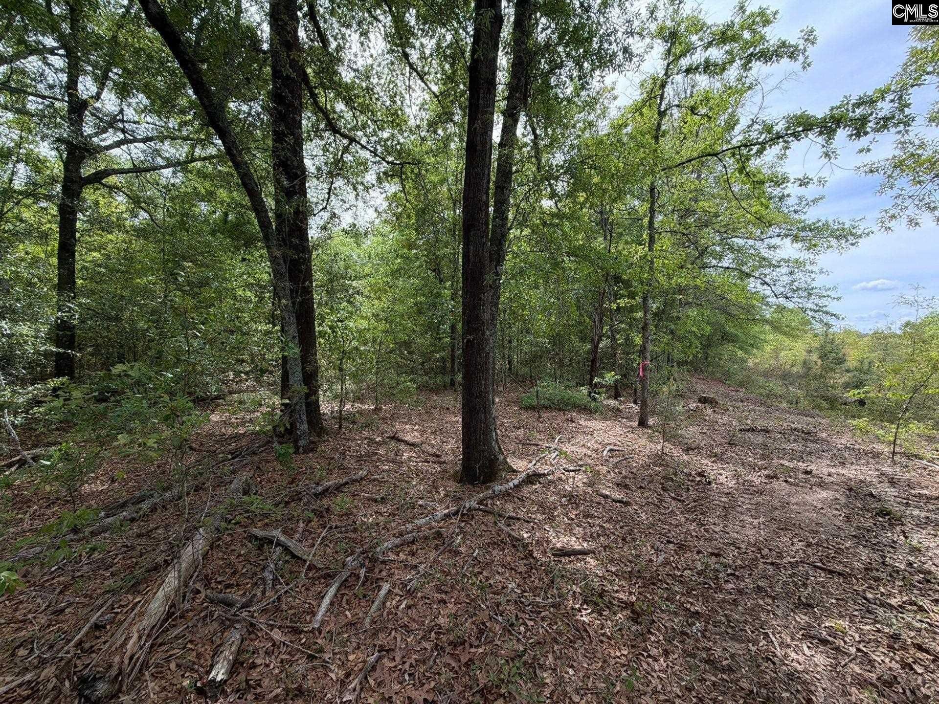 Rrf 1 Rogers Cemetery Road  Photo 38