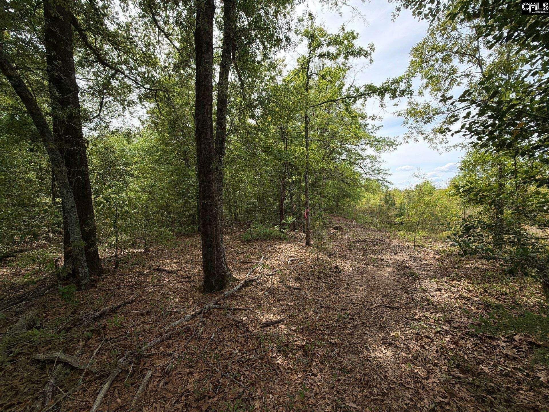 Rrf 1 Rogers Cemetery Road  Photo 39