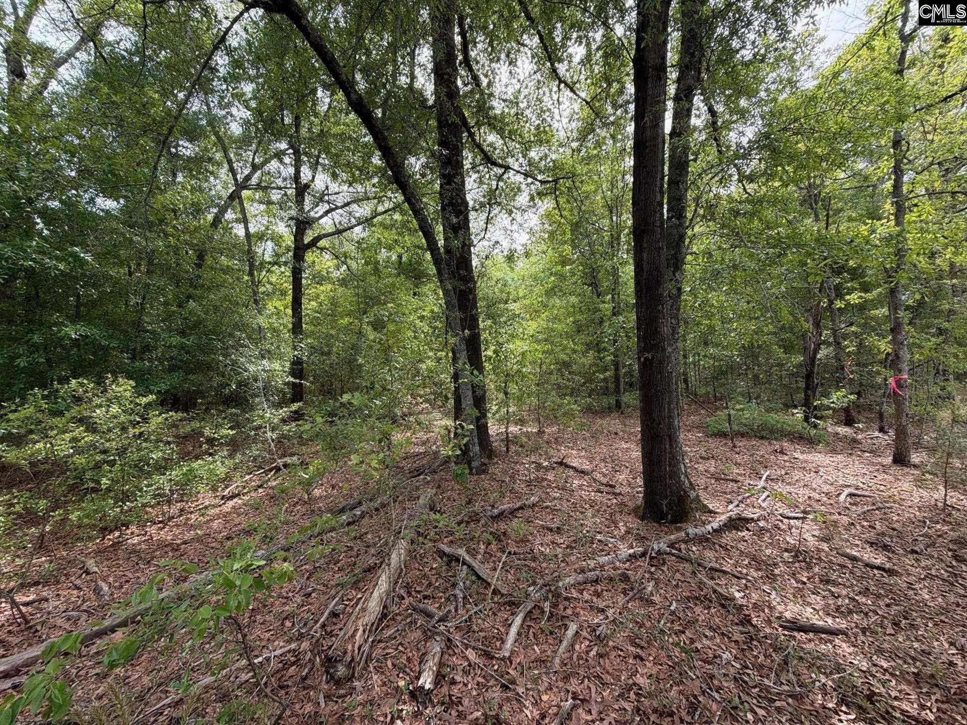 Rrf 1 Rogers Cemetery Road  Photo 40