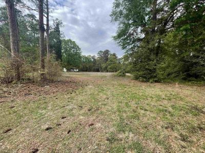 231 Ladybug Road , NEESES, SC 29107