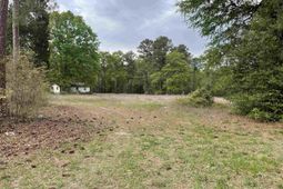 231 Ladybug Road  photo 4