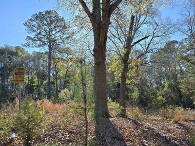 Lot 7 & 8 Popular Street, Unit 7, Cayce, SC 29033
