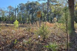 Lot 7 & 8 Popular Street photo 4